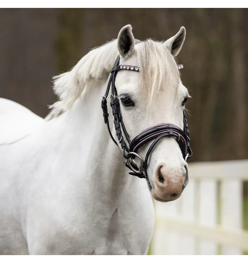 Ogłowie dla kucyka z serduszkami Bixie róż mini shetty