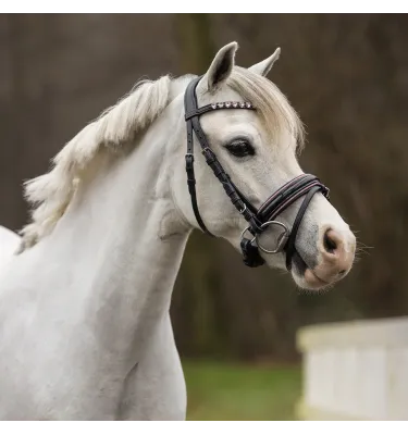 Ogłowie dla kucyka z serduszkami Bixie róż mini shetty