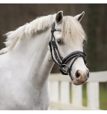 Ogłowie dla kucyka z serduszkami Bixie róż mini shetty