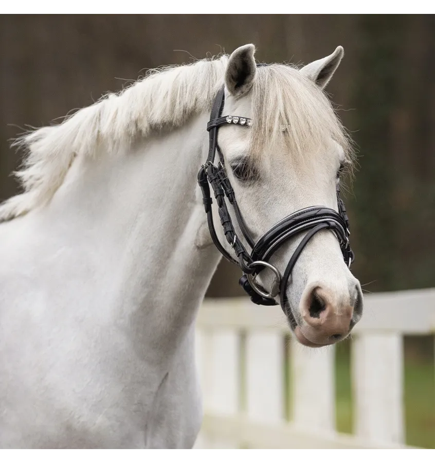 Ogłowie dla kucyka z serduszkami Bixie róż mini shetty