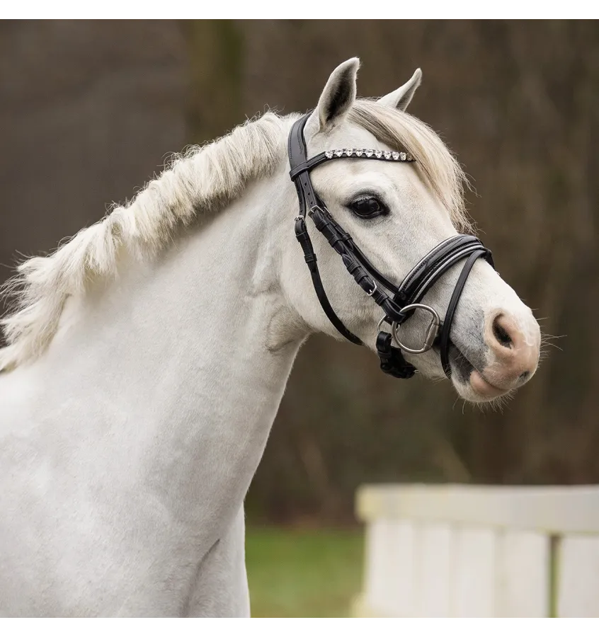 Ogłowie dla kucyka z serduszkami Bixie róż mini shetty