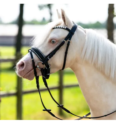 Ogłowie dla kucyka z serduszkami Bixie róż mini shetty