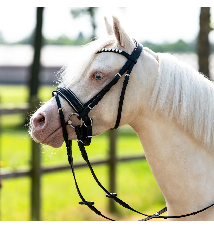 Ogłowie dla kucyka z serduszkami Bixie róż mini shetty