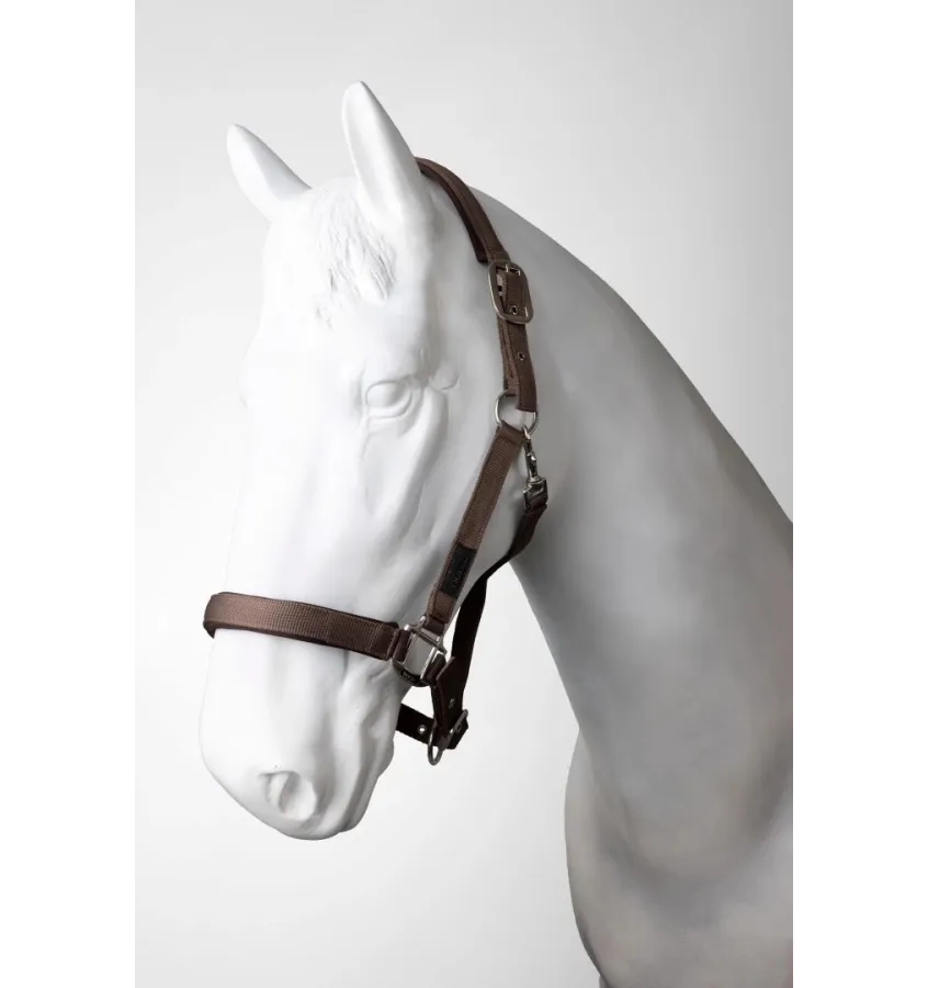 Kantar dla konia Lucca z uwiązem stalowy cob