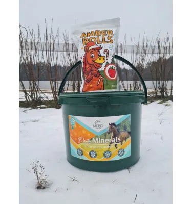 Witaminy dla koni + przysmaki