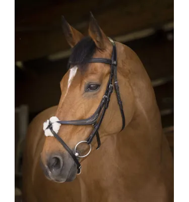 Ogłowie meksykańskie dla konia Norton czarne cob