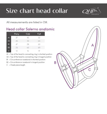 Kantar skórzany dla konia Salerno cob