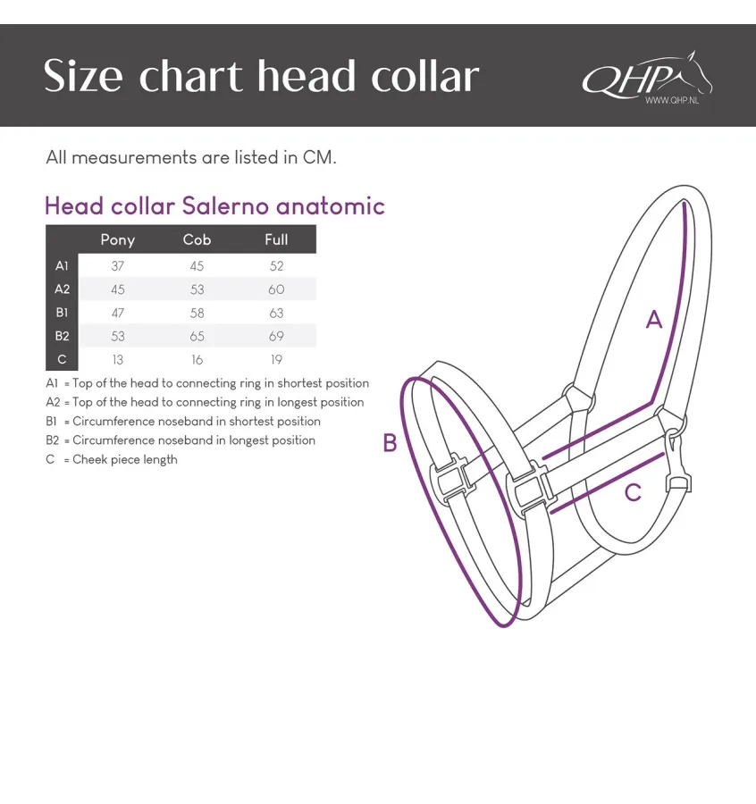 Kantar skórzany dla konia Salerno cob