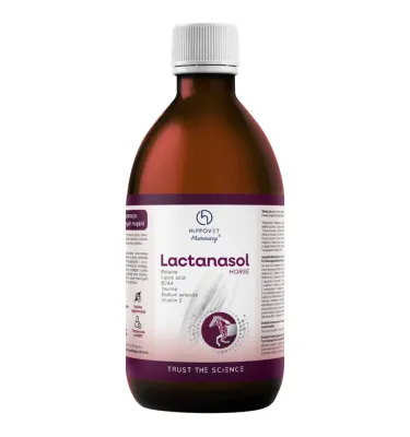 Hippovet Pharmacy – Lactanasol 250 ml – intensywne odkwaszanie i ochrona mięśni