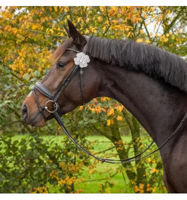 Numerek startowy koniczyna