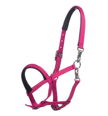 Halter dla źrebaka Millie czarny