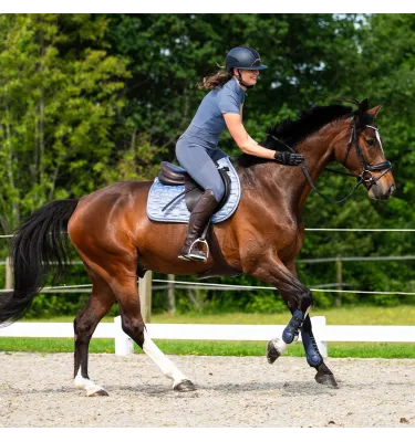 Czaprak wszechstronny pod siodło Aubree