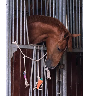 Zabawka dla konia QHP