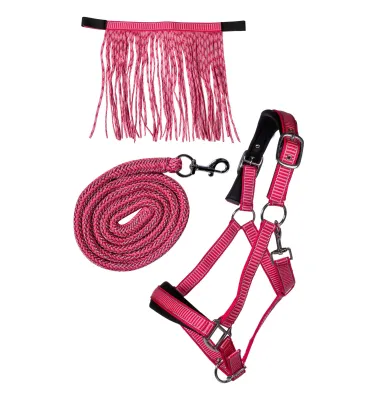 Kantar z uwiązem i flędzlami na owady chabrowy cob