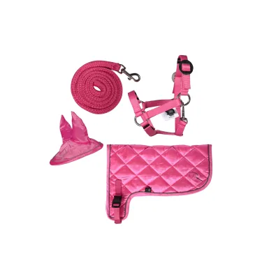 Komplet dla Hobby Horse neonset