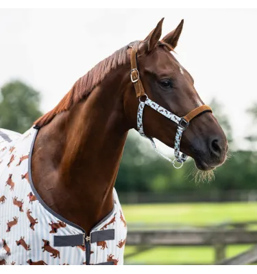 Kantar z uwiązem jamnik cob