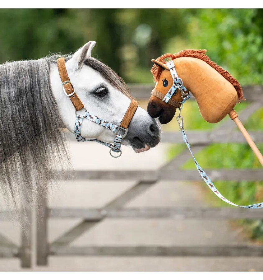 Kantar z uwiązem jamnik cob