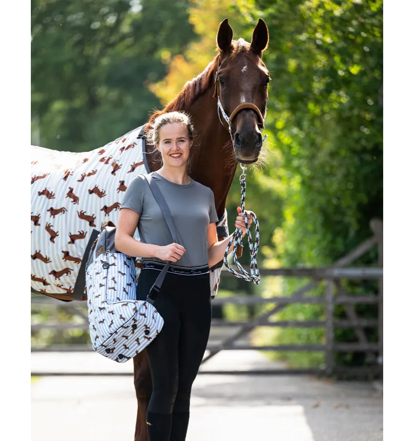 Kantar z uwiązem jamnik cob