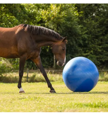 Duża piłka dla konia