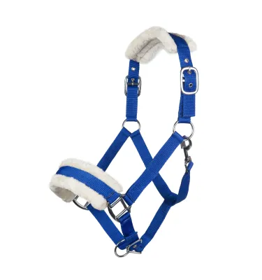 Kantar Bischofshofen