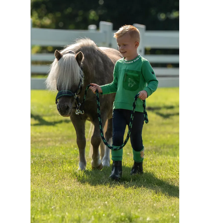 Kantar Maui dla kucyka granat shetty