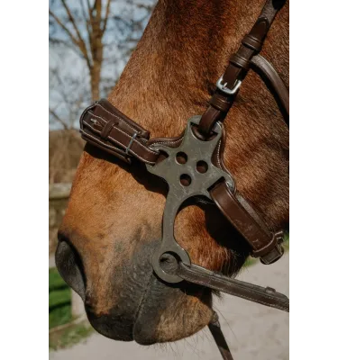 Ogłowie Hackamore Norton Compet czarny full