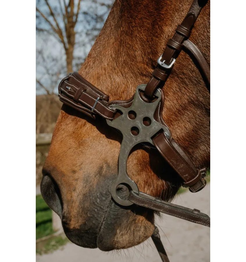 Ogłowie Hackamore Norton Compet czarny full