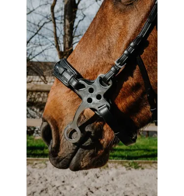 Ogłowie Hackamore Norton Compet czarny full