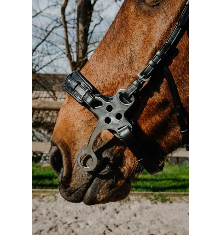Ogłowie Hackamore Norton Compet czarny full