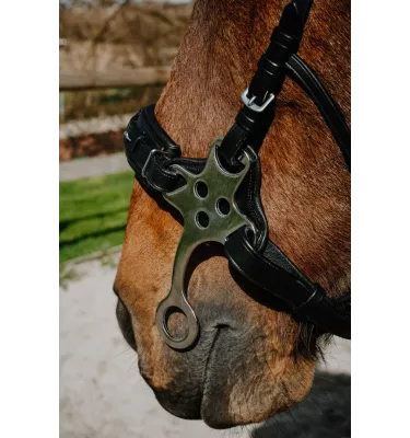 Ogłowie Hackamore Norton Compet czarny full