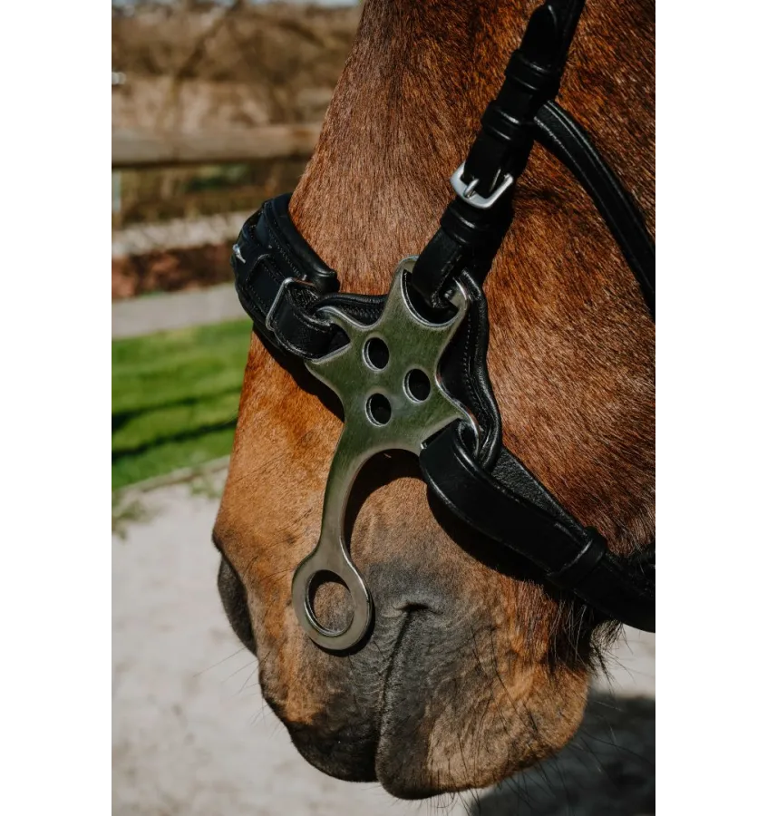Ogłowie Hackamore Norton Compet czarny full