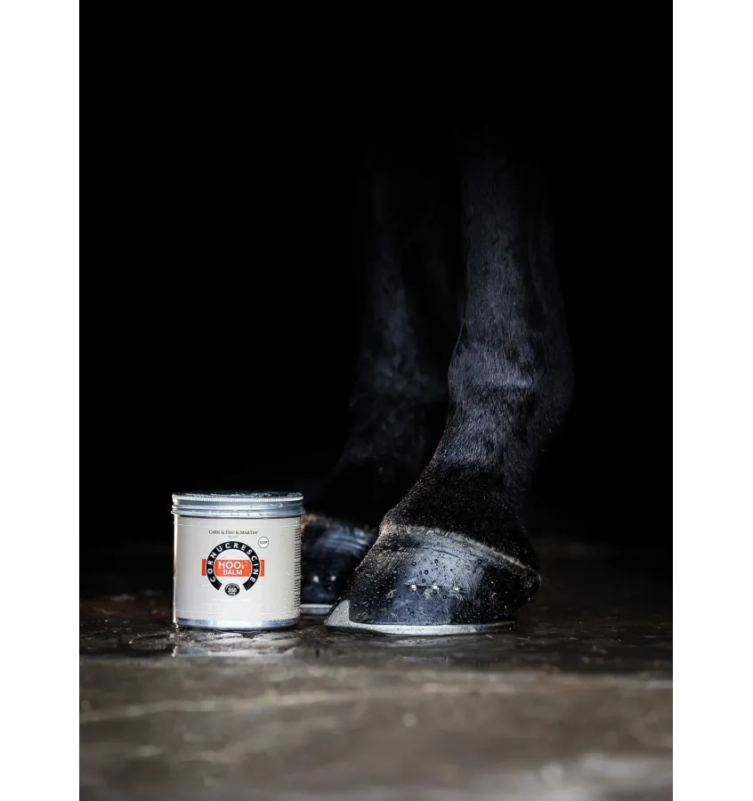 Carr&Day&Martin Clear Hoof Balm balsam do kopyt dla koni