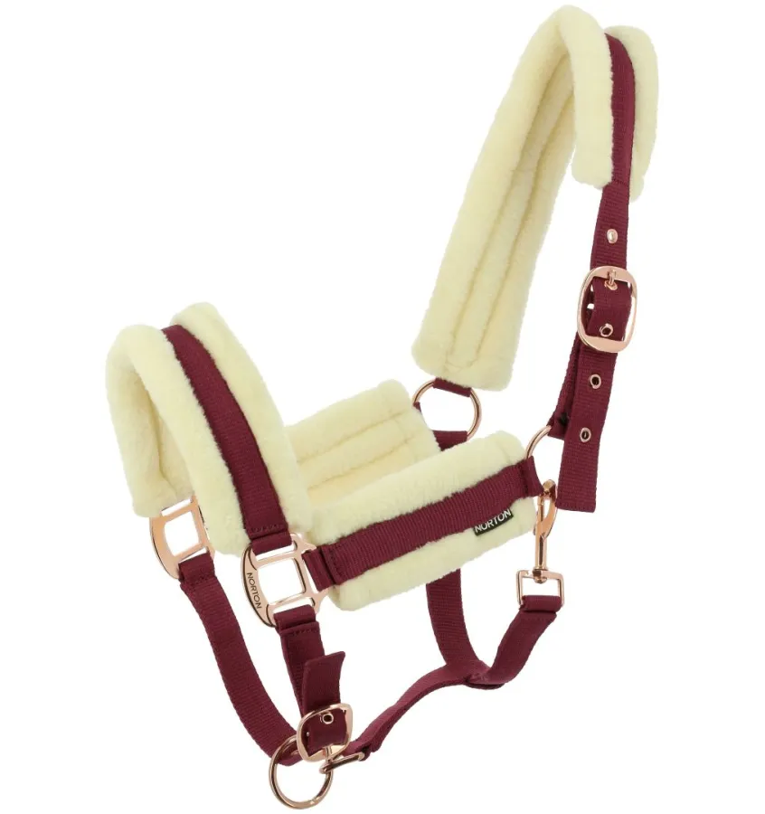 Kantar dla konia z futerkiem Comfy CZARNY cob