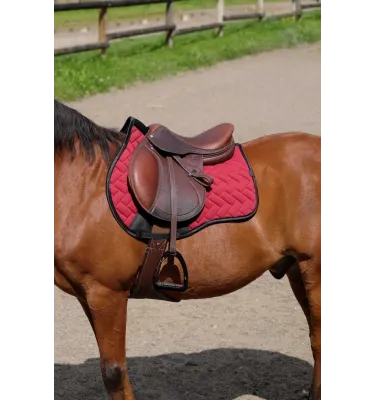 Czaprak wszechstronny Impulsion czarny