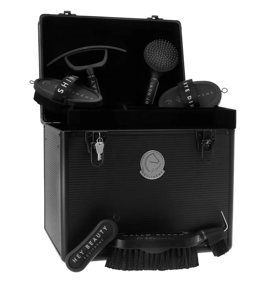 Skrzynka aluminiowa na szczotki dla konia Je t'aime złoty