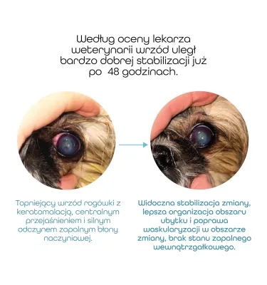 AcuteDrop- regeneracyjno-immunomodulujące krople do oczu dla zwierząt