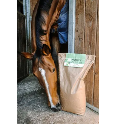 Smakołyki dla konia HIPPOTONIC TREATS jabłko 10kg