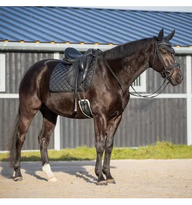 Wodze skórzane brokatowe QHP Glitter czarne full