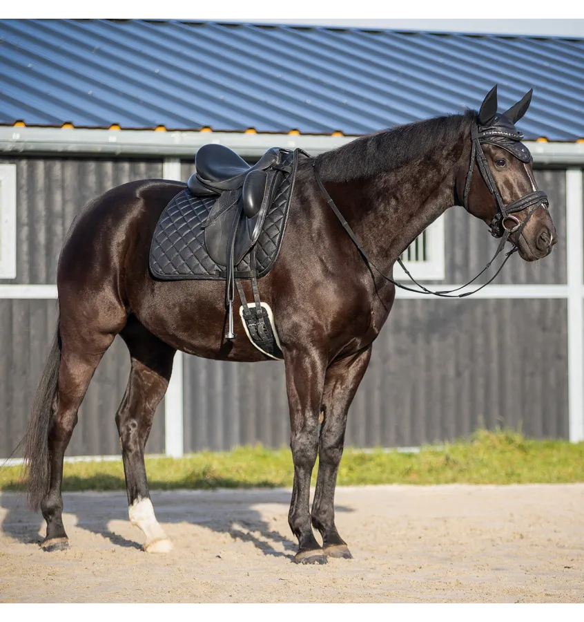 Wodze skórzane brokatowe QHP Glitter czarne full