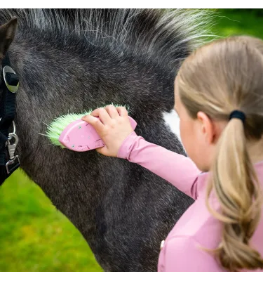 Zestaw prezentowy ze szczotkami dla konia Lucky Star