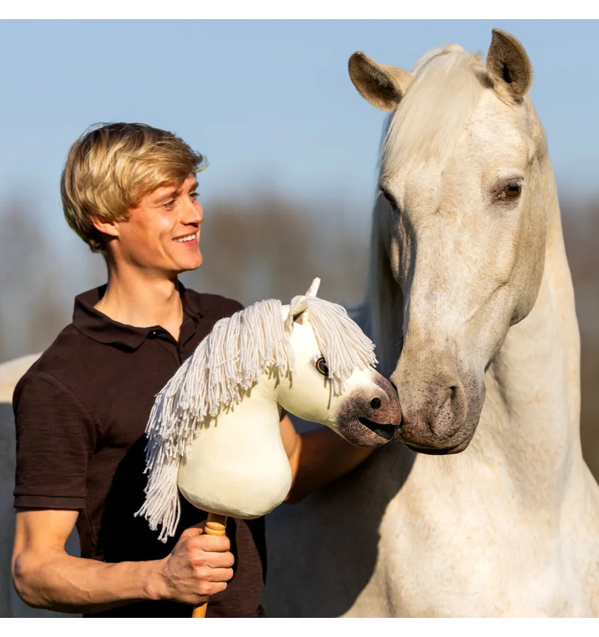 Hobby Horse QHP Jesse Drent Antares
