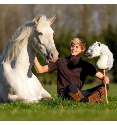 Hobby Horse QHP Jesse Drent Antares