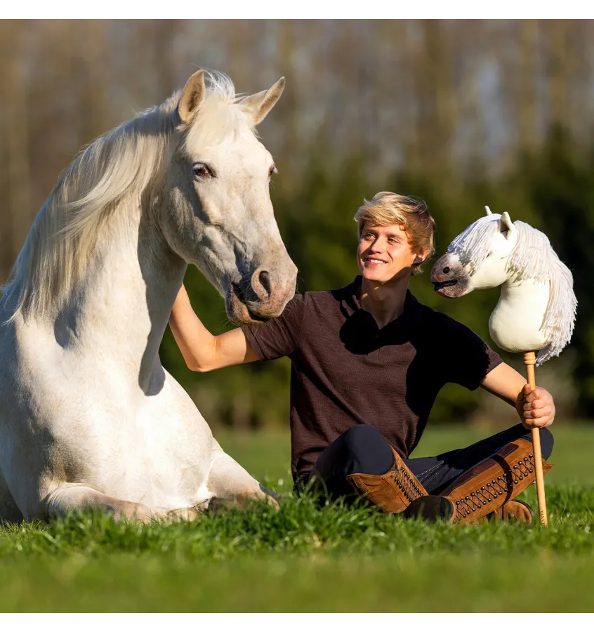 Hobby Horse QHP Jesse Drent Antares