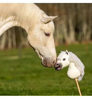 Hobby Horse QHP Jesse Drent Antares
