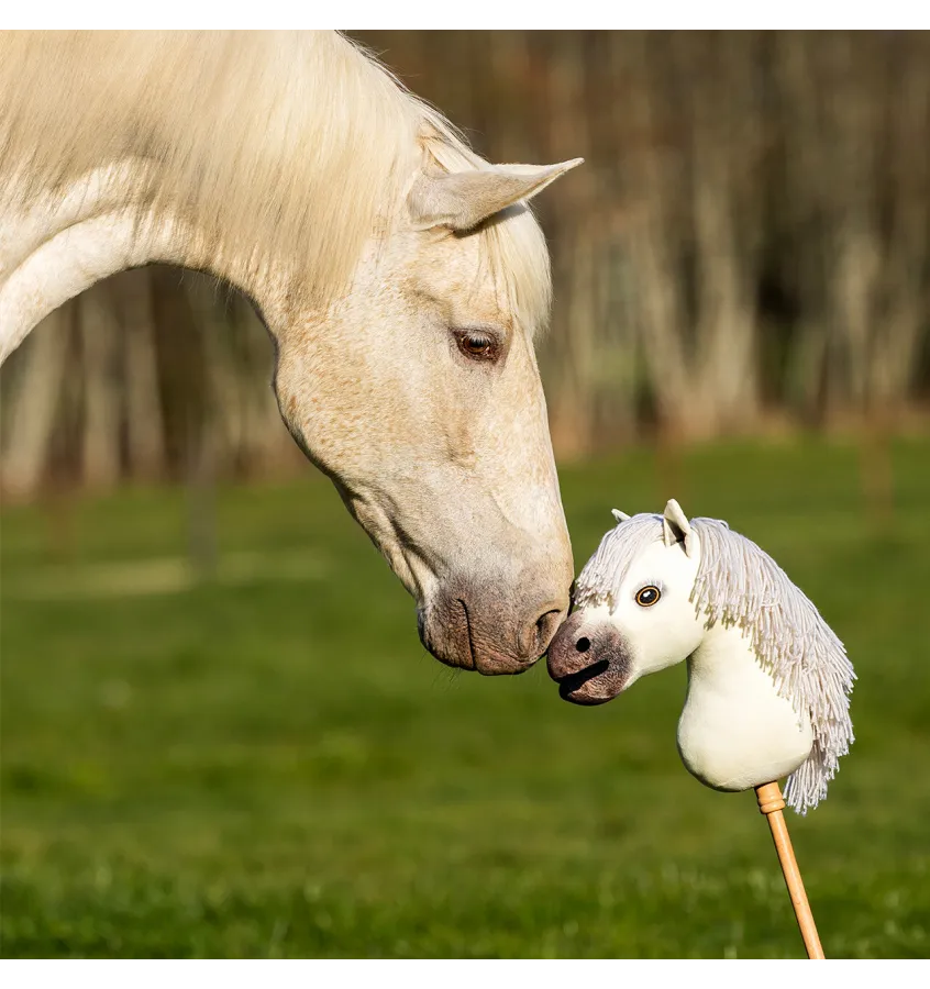 Hobby Horse QHP Jesse Drent Antares