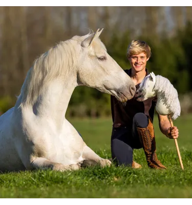 Hobby Horse QHP Jesse Drent Antares