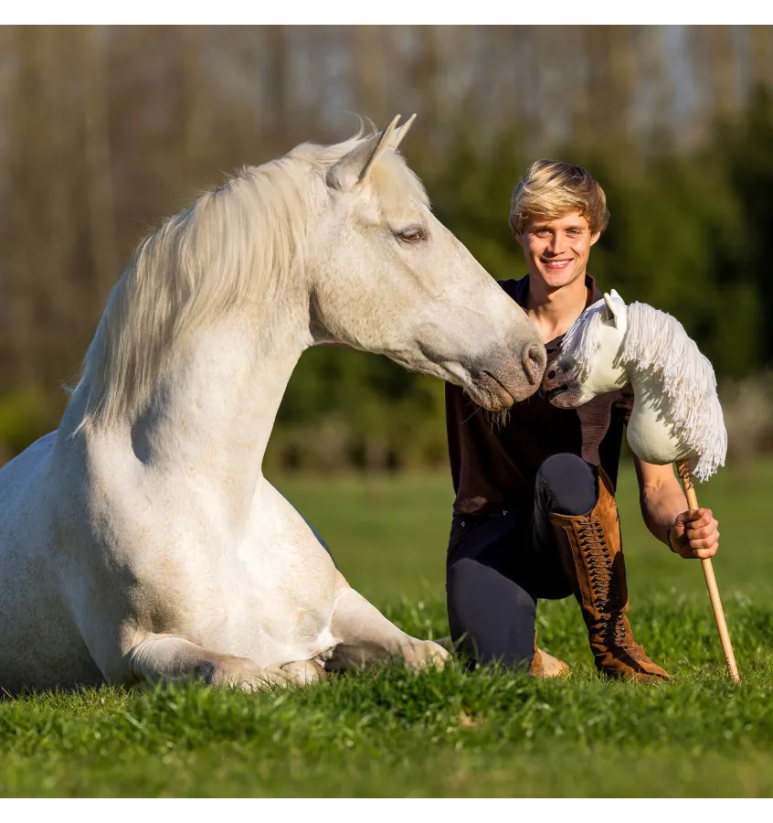 Hobby Horse QHP Jesse Drent Antares