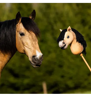 Hobby Horse QHP Jesse Drent Antares