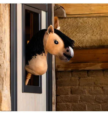 Hobby Horse QHP Jesse Drent Antares