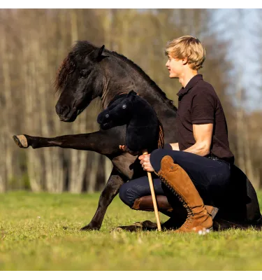 Hobby Horse QHP Jesse Drent Antares